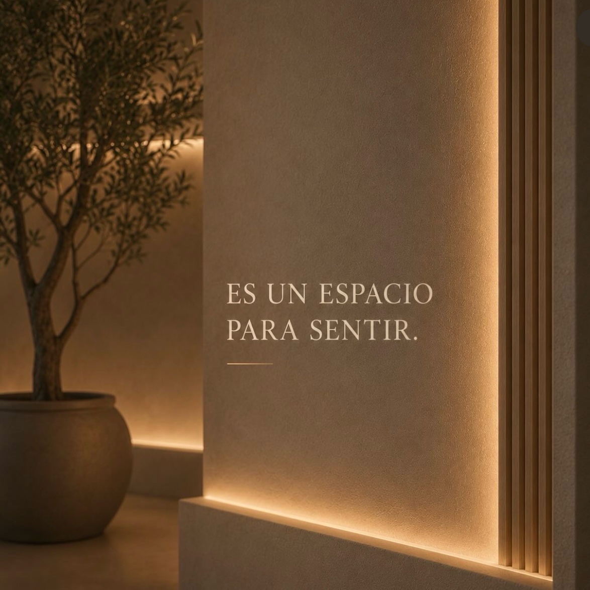 Es un espacio para sentir.